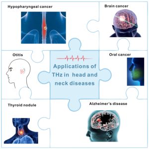 Choroby głowy i szyi