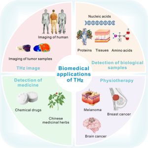 Zastosowanie biomedyczne
